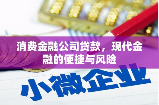 武侯消费金融公司贷款，现代金融的便捷与风险