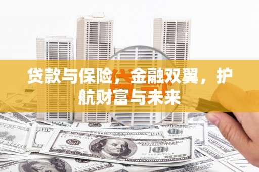 武侯贷款与保险，金融双翼，护航财富与未来
