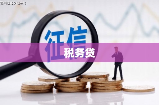 武侯税务贷