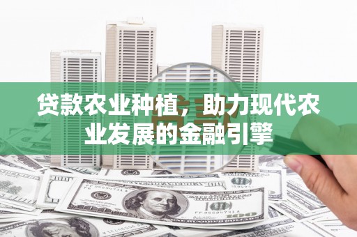 武侯贷款农业种植，助力现代农业发展的金融引擎