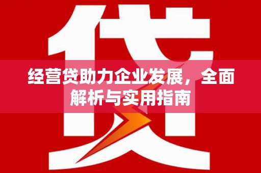 武侯经营贷助力企业发展，全面解析与实用指南