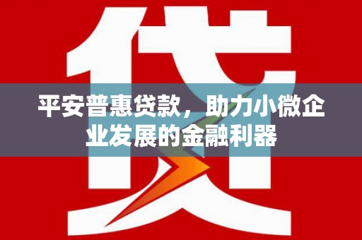 武侯平安普惠贷款，助力小微企业发展的金融利器