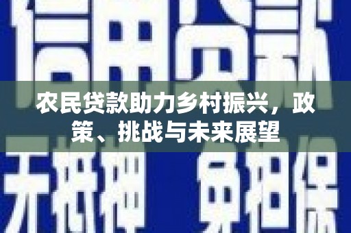 武侯农民贷款助力乡村振兴，政策、挑战与未来展望