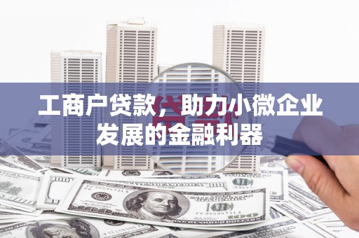 武侯工商户贷款，助力小微企业发展的金融利器