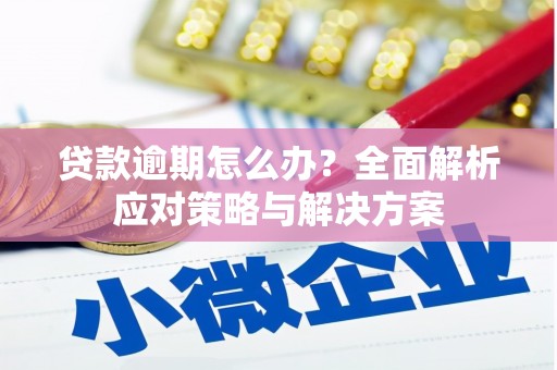 武侯贷款逾期怎么办？全面解析应对策略与解决方案