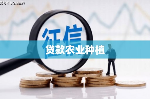 武侯贷款农业种植