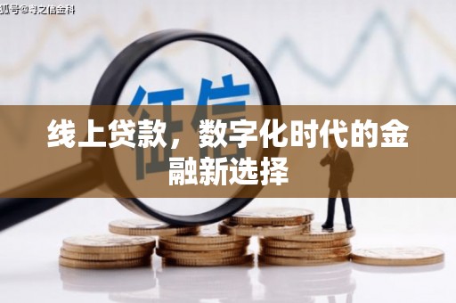 武侯线上贷款，数字化时代的金融新选择