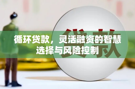 武侯循环贷款，灵活融资的智慧选择与风险控制