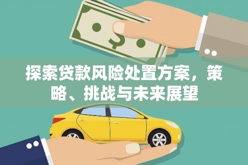 武侯探索贷款风险处置方案，策略、挑战与未来展望