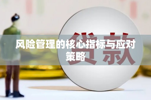 武侯风险管理的核心指标与应对策略