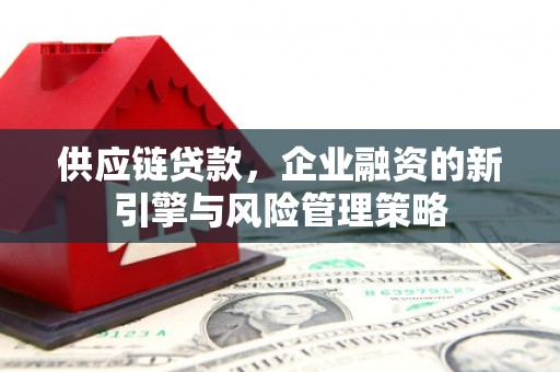 武侯供应链贷款，企业融资的新引擎与风险管理策略