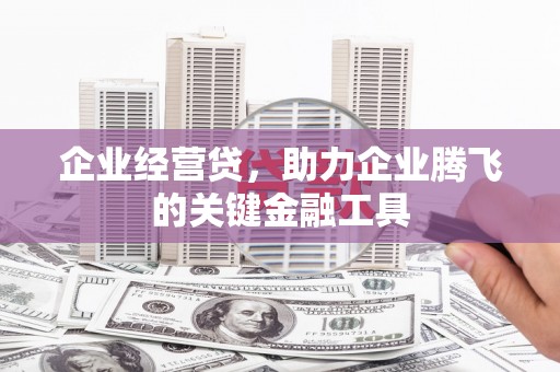 武侯企业经营贷，助力企业腾飞的关键金融工具