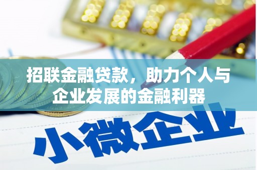 武侯招联金融贷款，助力个人与企业发展的金融利器