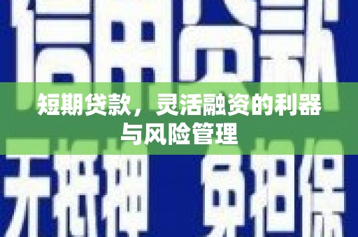 武侯短期贷款，灵活融资的利器与风险管理