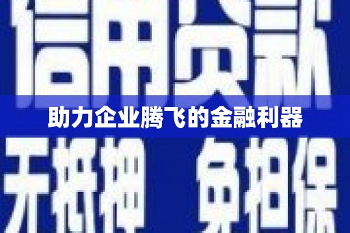 武侯助力企业腾飞的金融利器