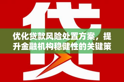 武侯优化贷款风险处置方案，提升金融机构稳健性的关键策略