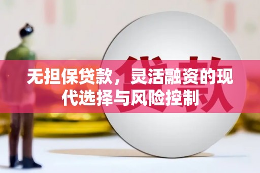 武侯无担保贷款，灵活融资的现代选择与风险控制