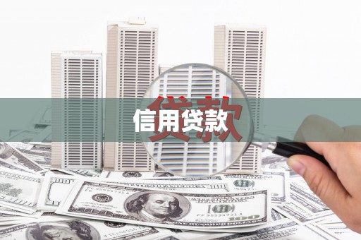 武侯信用贷款