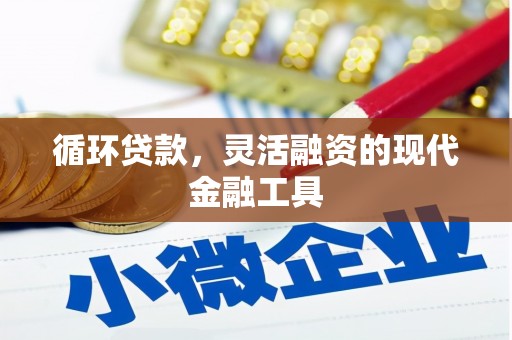 武侯循环贷款，灵活融资的现代金融工具