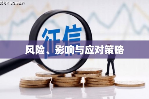 武侯风险、影响与应对策略