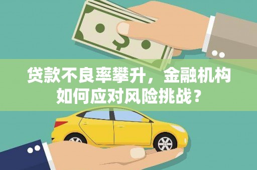 武侯贷款不良率攀升，金融机构如何应对风险挑战？