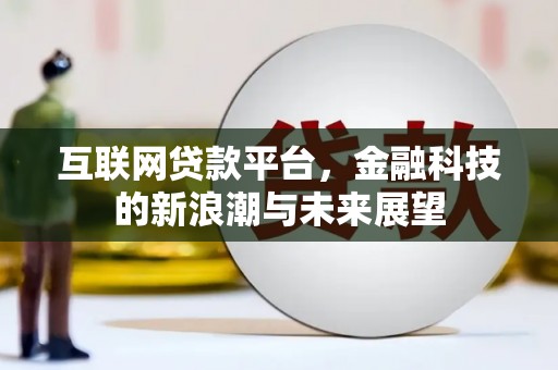 武侯互联网贷款平台，金融科技的新浪潮与未来展望