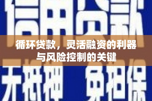 武侯循环贷款，灵活融资的利器与风险控制的关键