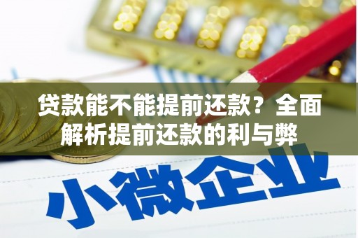 武侯贷款能不能提前还款？全面解析提前还款的利与弊