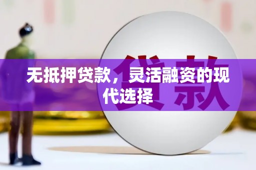 武侯无抵押贷款，灵活融资的现代选择