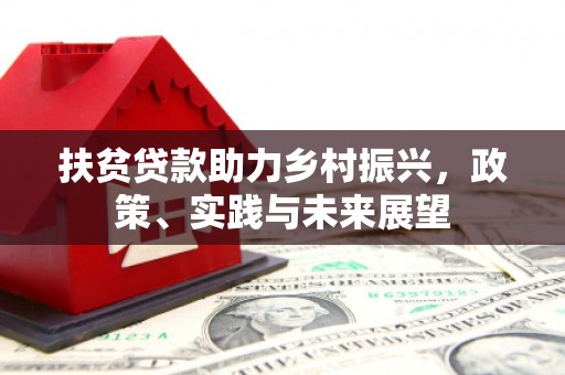 武侯扶贫贷款助力乡村振兴，政策、实践与未来展望