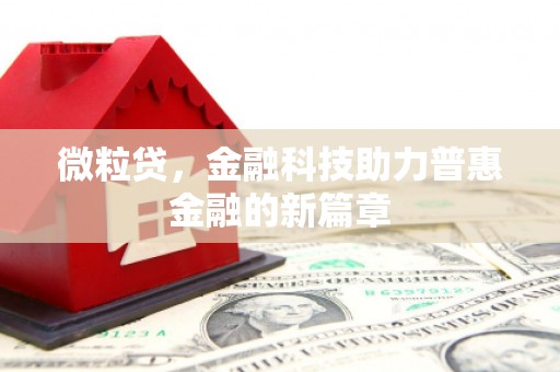 武侯微粒贷，金融科技助力普惠金融的新篇章