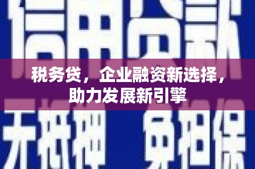 武侯税务贷，企业融资新选择，助力发展新引擎