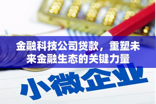 武侯金融科技公司贷款，重塑未来金融生态的关键力量
