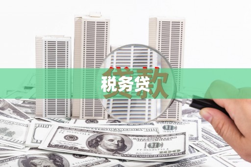 武侯税务贷