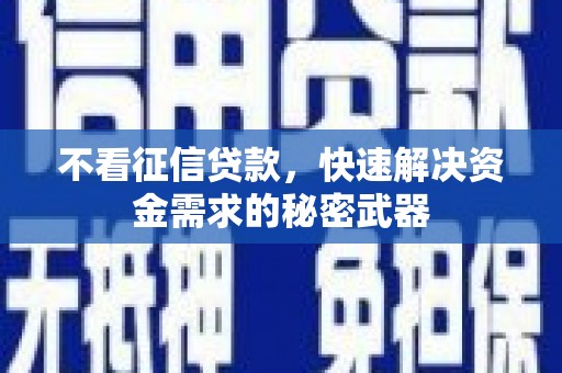 武侯不看征信贷款，快速解决资金需求的秘密武器
