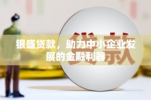武侯银盛贷款，助力中小企业发展的金融利器