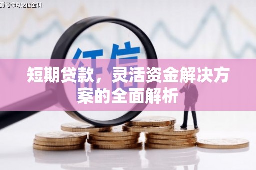 武侯短期贷款，灵活资金解决方案的全面解析