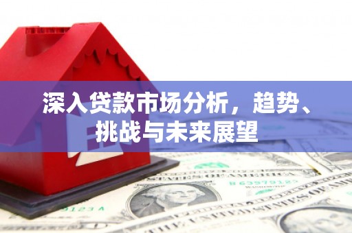 武侯深入贷款市场分析，趋势、挑战与未来展望