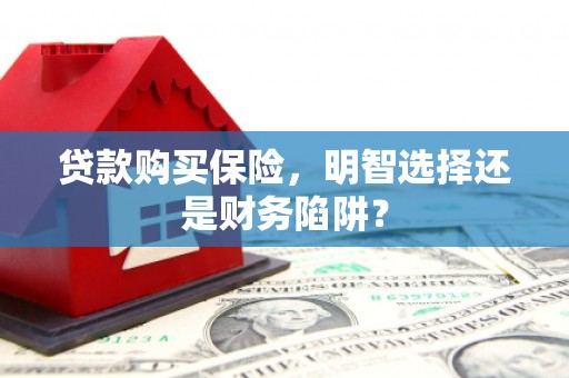 武侯贷款购买保险，明智选择还是财务陷阱？