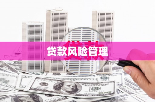 武侯贷款风险管理