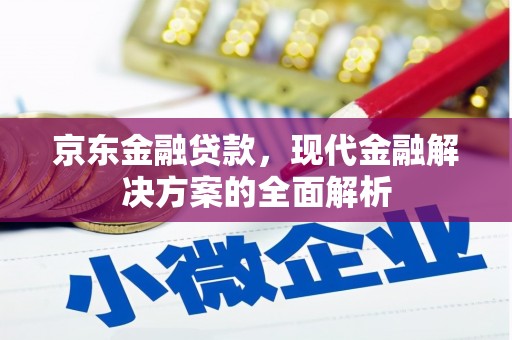 武侯京东金融贷款，现代金融解决方案的全面解析