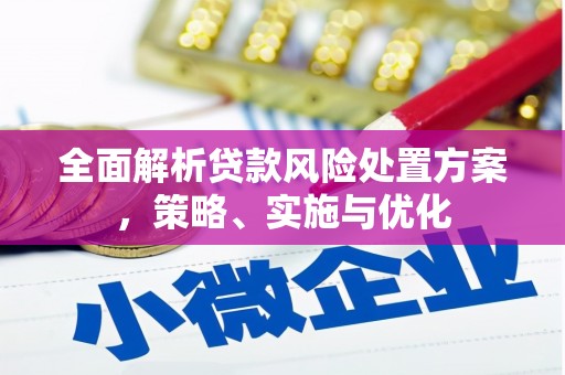 武侯全面解析贷款风险处置方案，策略、实施与优化