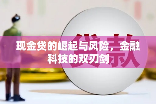 武侯现金贷的崛起与风险，金融科技的双刃剑
