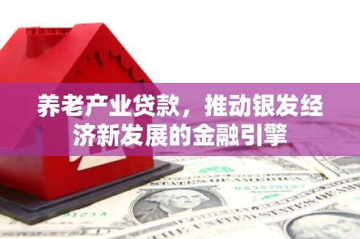 武侯养老产业贷款，推动银发经济新发展的金融引擎