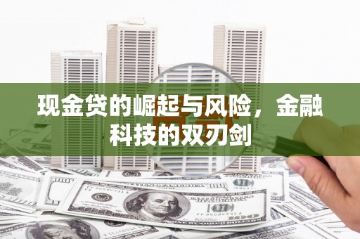 武侯现金贷的崛起与风险，金融科技的双刃剑