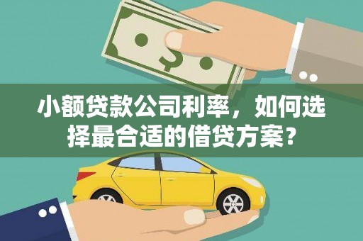 武侯小额贷款公司利率，如何选择最合适的借贷方案？