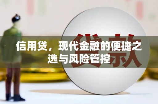 武侯信用贷，现代金融的便捷之选与风险管控