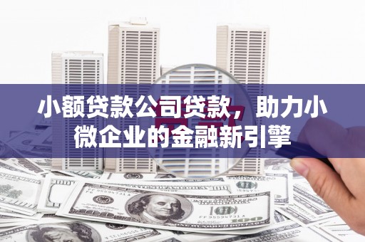 武侯小额贷款公司贷款，助力小微企业的金融新引擎