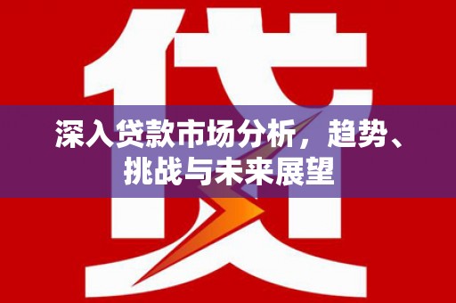 武侯深入贷款市场分析，趋势、挑战与未来展望
