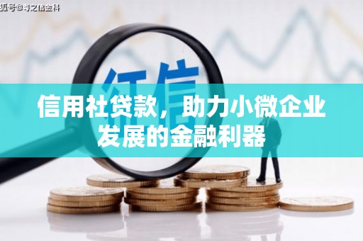 武侯信用社贷款，助力小微企业发展的金融利器